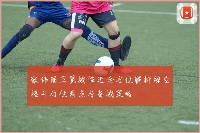 张伟丽卫冕战临近全方位解析综合格斗对位看点与备战策略
