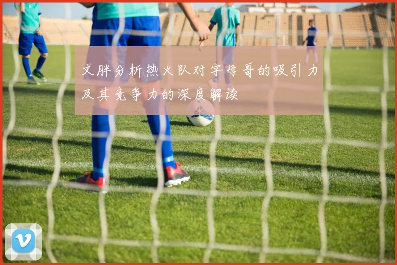 文胖分析热火队对字母哥的吸引力及其竞争力的深度解读