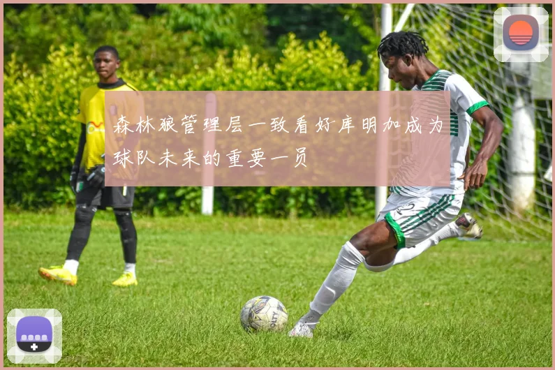 森林狼管理层一致看好库明加成为球队未来的重要一员